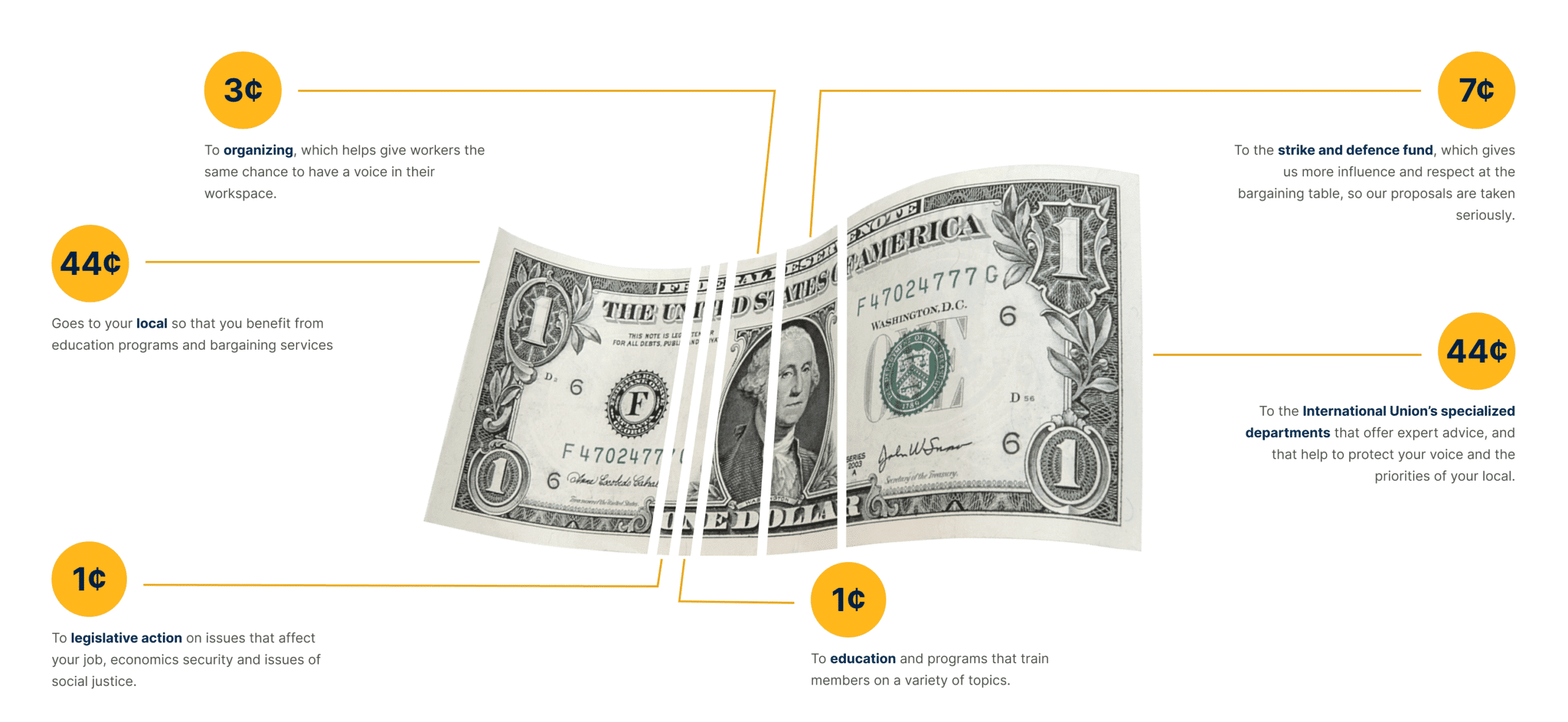 dollar-graphic_desktop_optim dollar-graphic_desktop_optim
